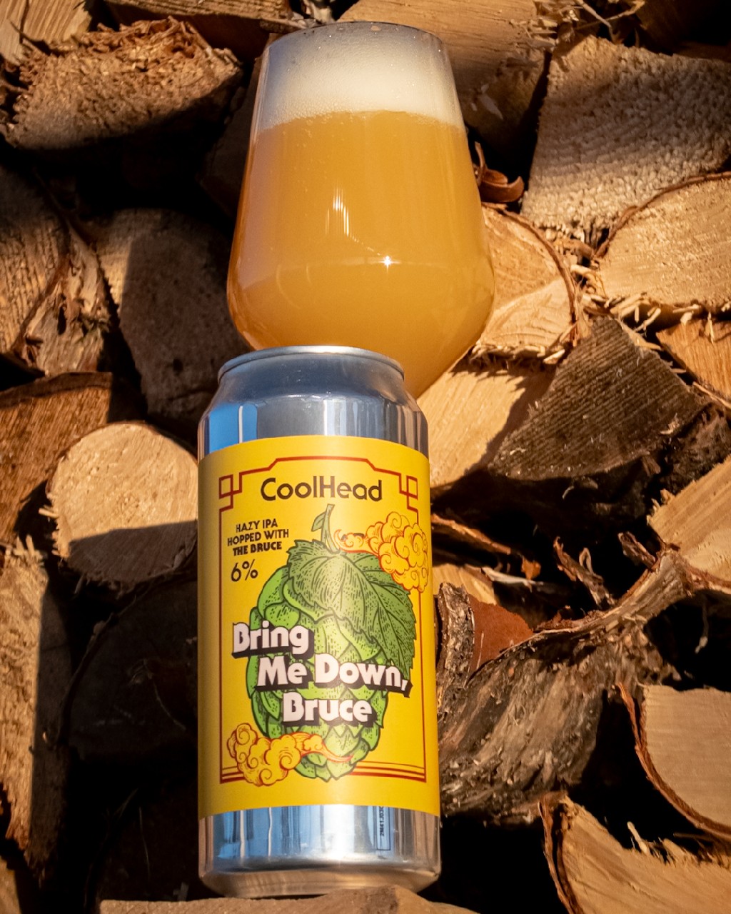 Bring Me Down, Bruce, Finland