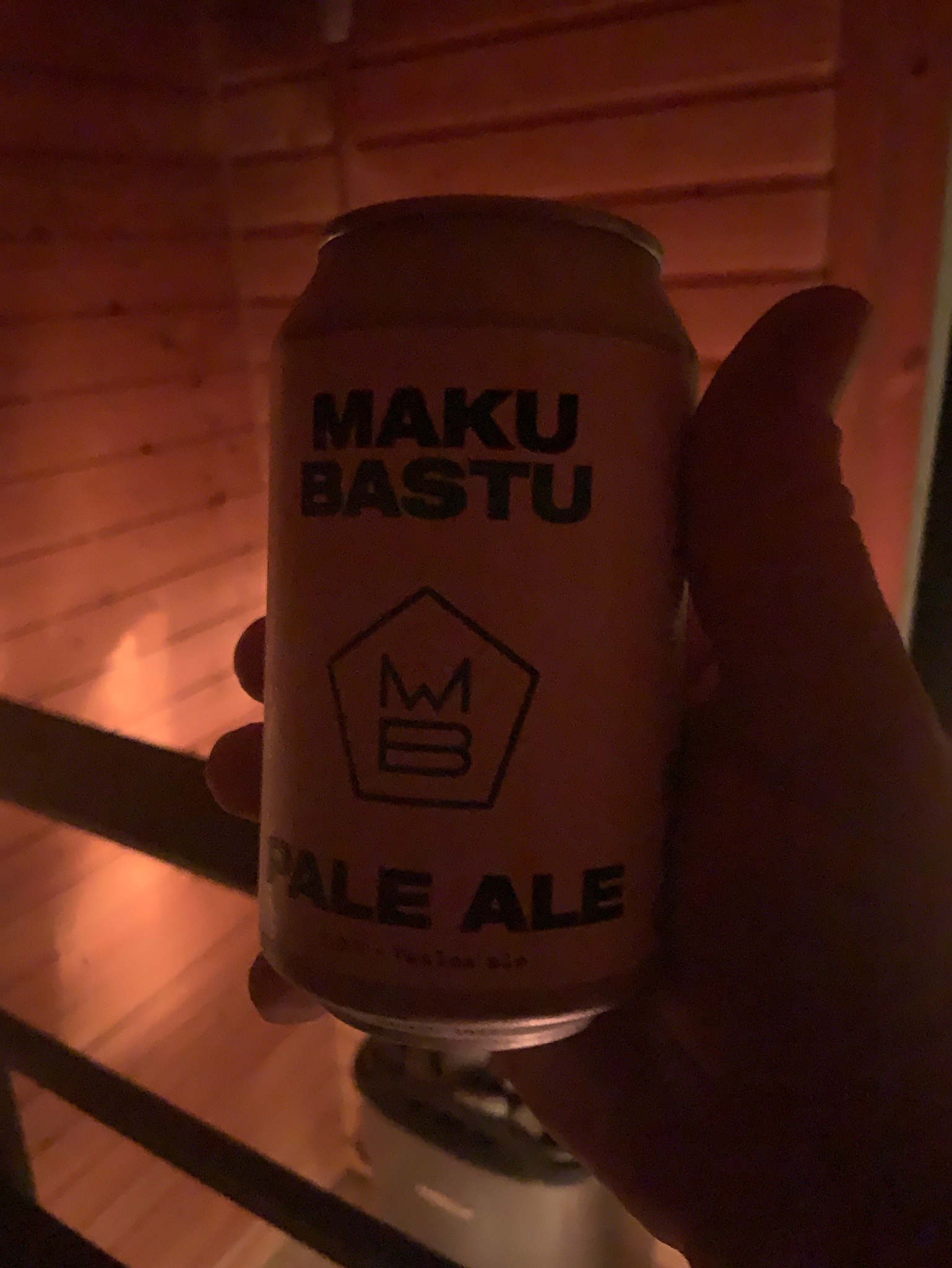 Bastu, Finland