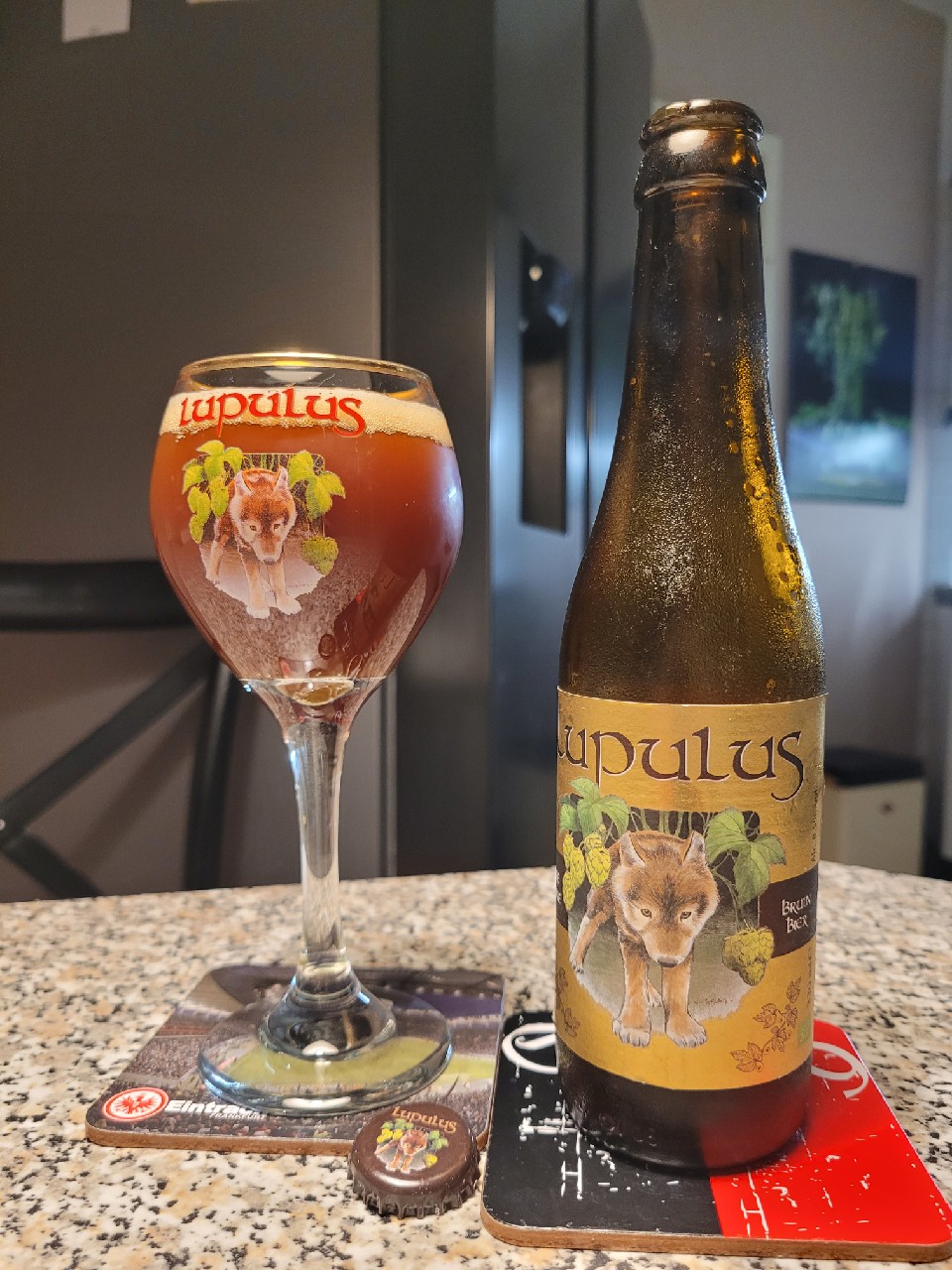 Lupulus Brune, Belgium
