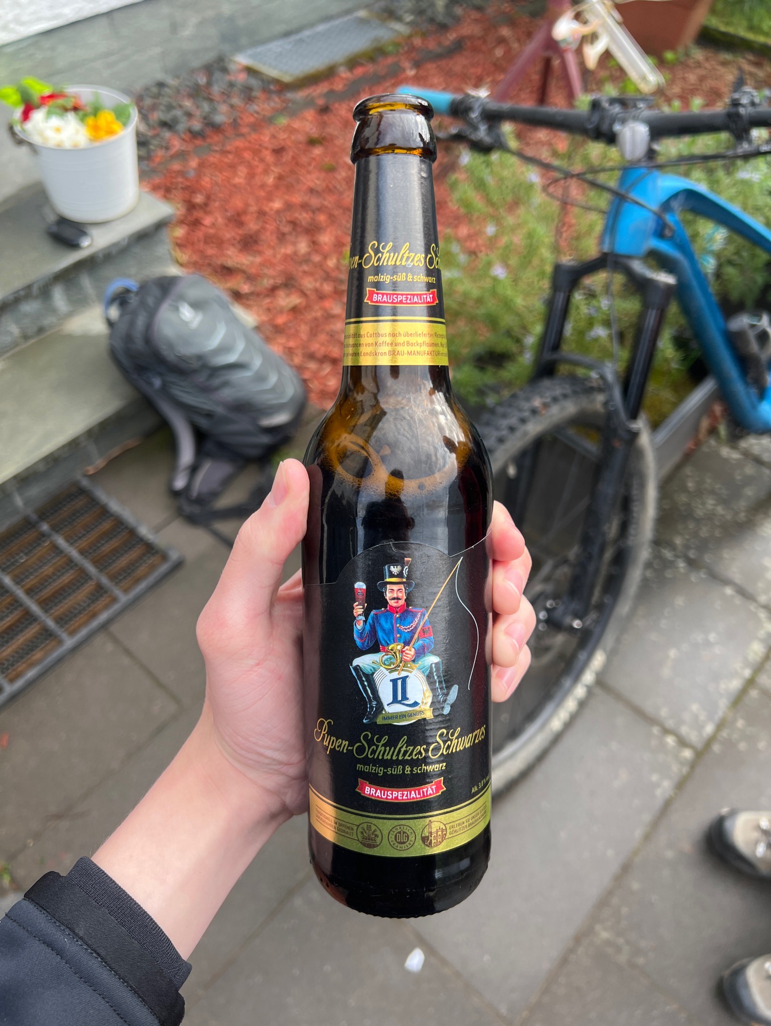 Pupen-Schultzes Schwarzes, Germany