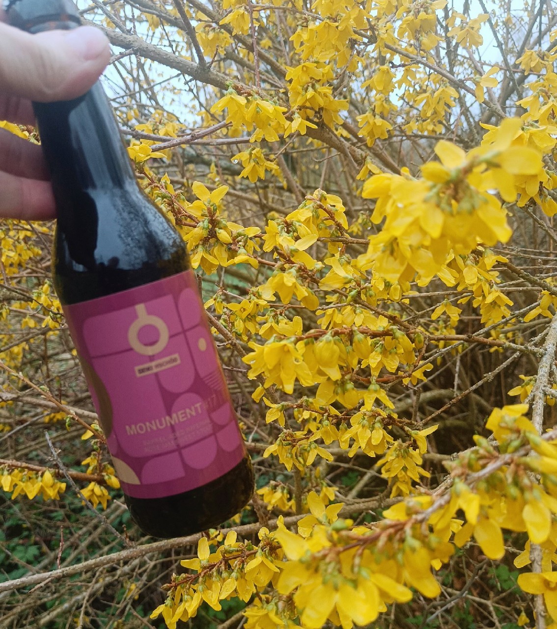 Monument #17: Imperial Rose Jam Sweet Stout Tawny Port Barrel Aged, Browar Dziki Wschód