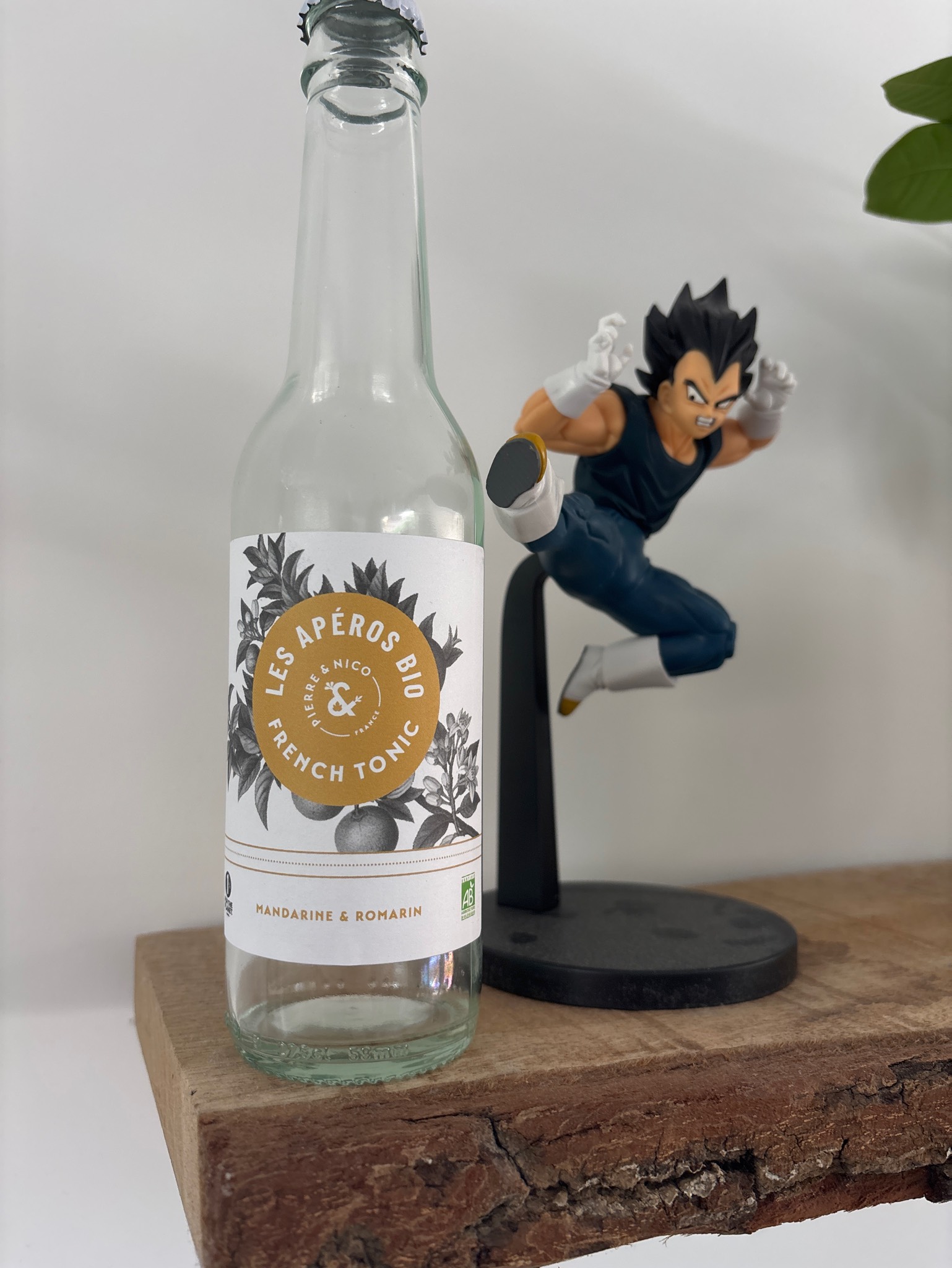 Ginger Beer Mandarine Romarin, France