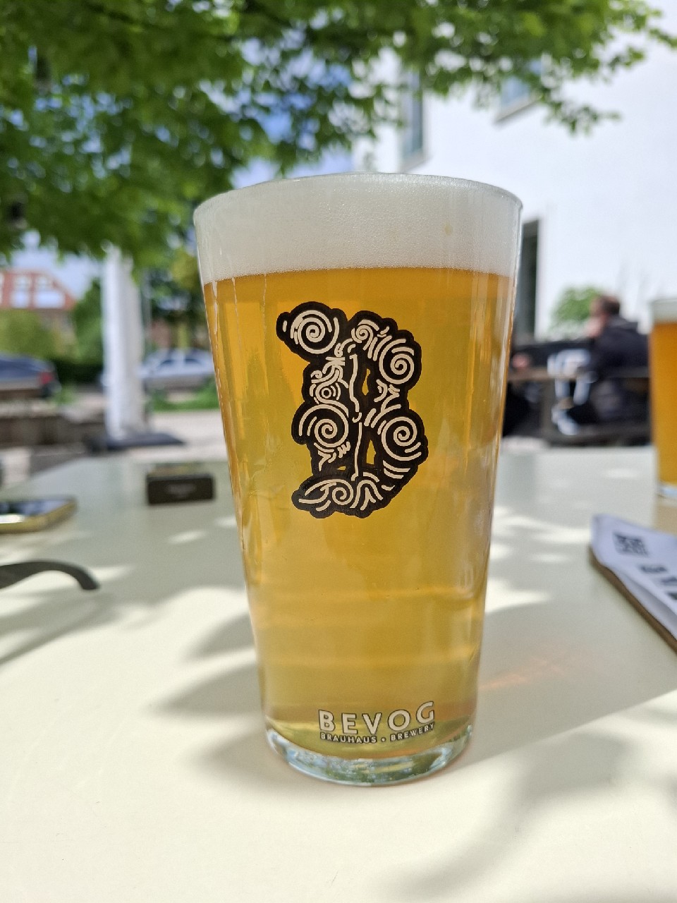 Extinction is forever!: Tehuantepec Jackrabbit, Austria