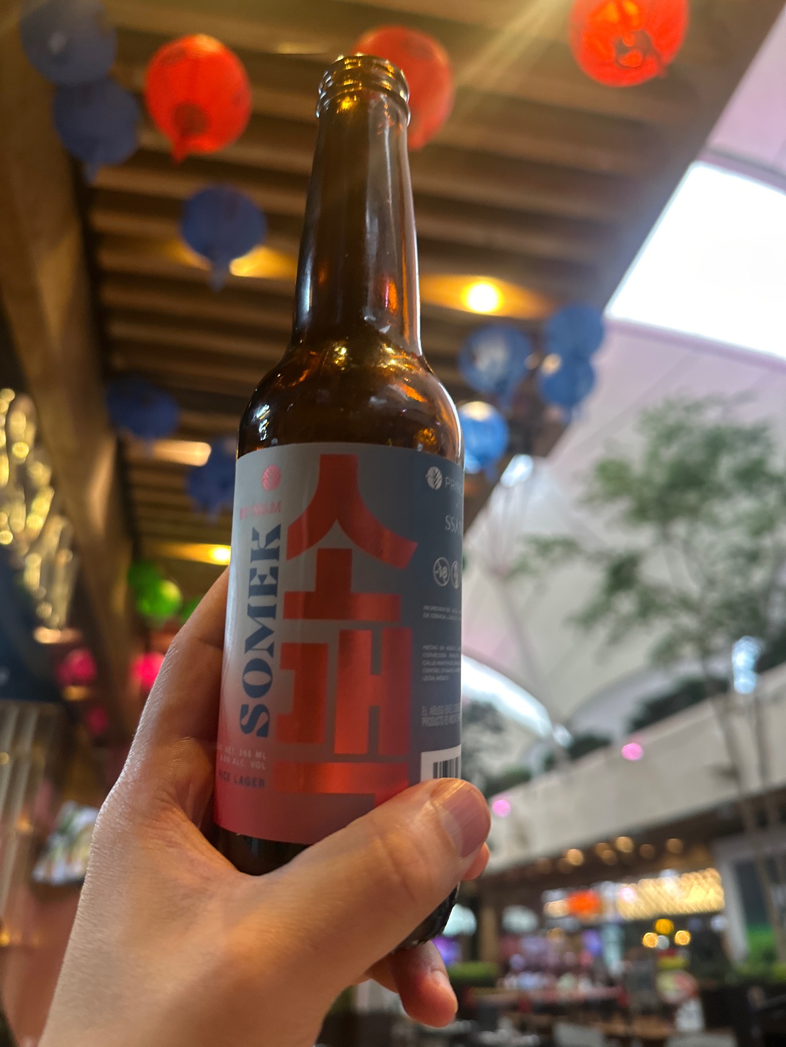 Somek by Ssam, Principia