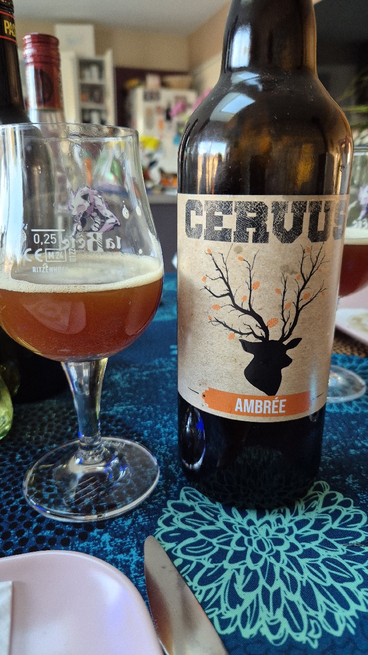 Cervus Ambrée, Ecol'Aux Mousses