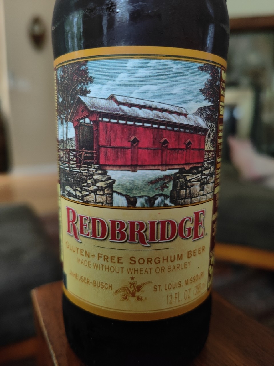 Redbridge, United States