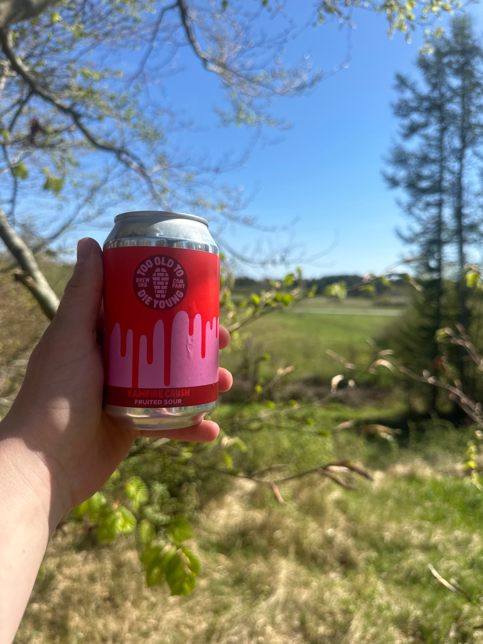 Vampire Crush, Denmark