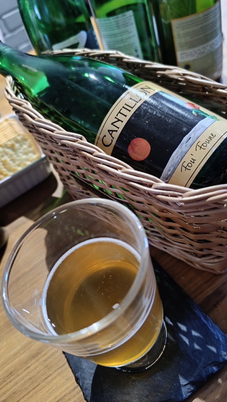 Fou' Foune (2024), Belgium