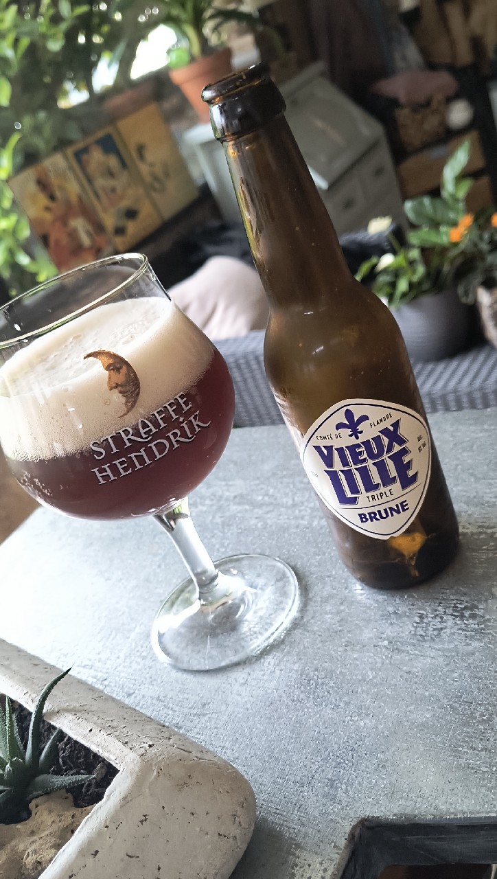 Vieux Lille Triple Brune, France