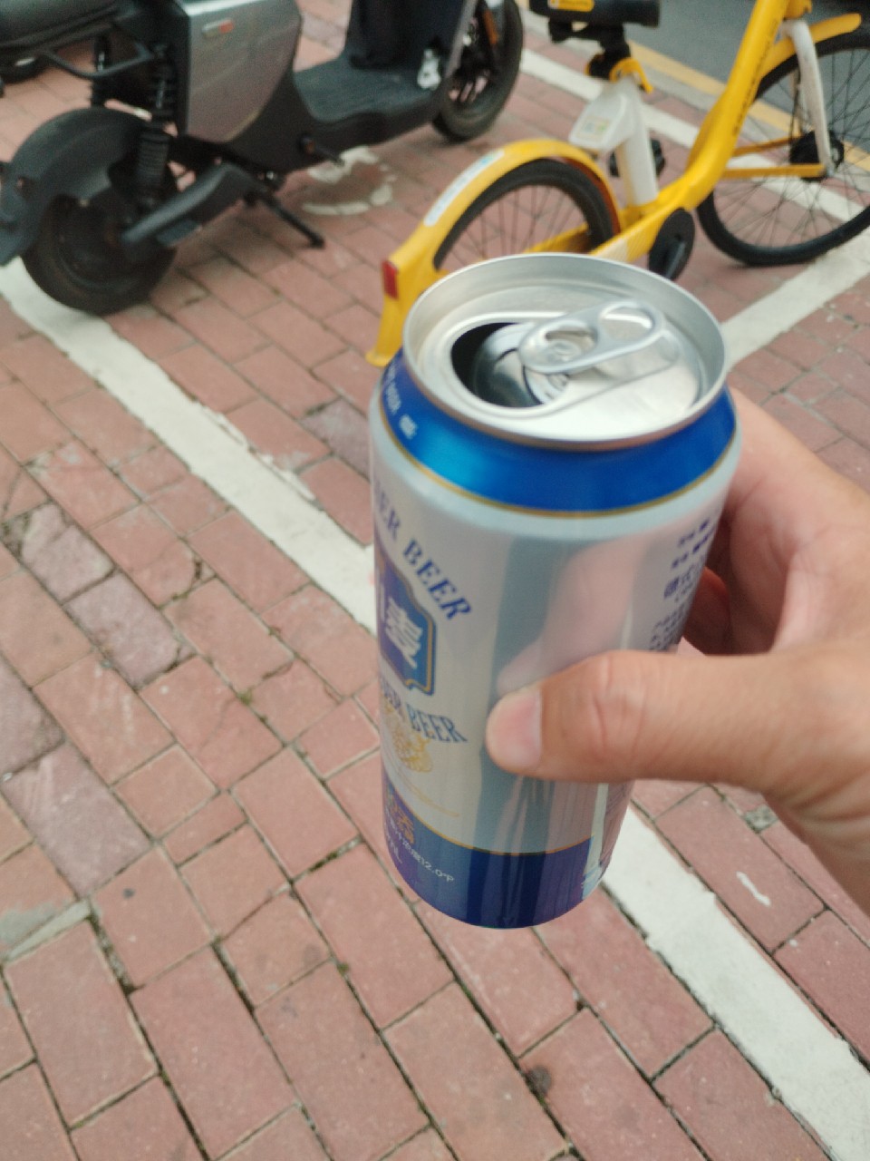 Craft Weissbier Beer 12P / 德式小麦原浆精酿啤酒 12P, China