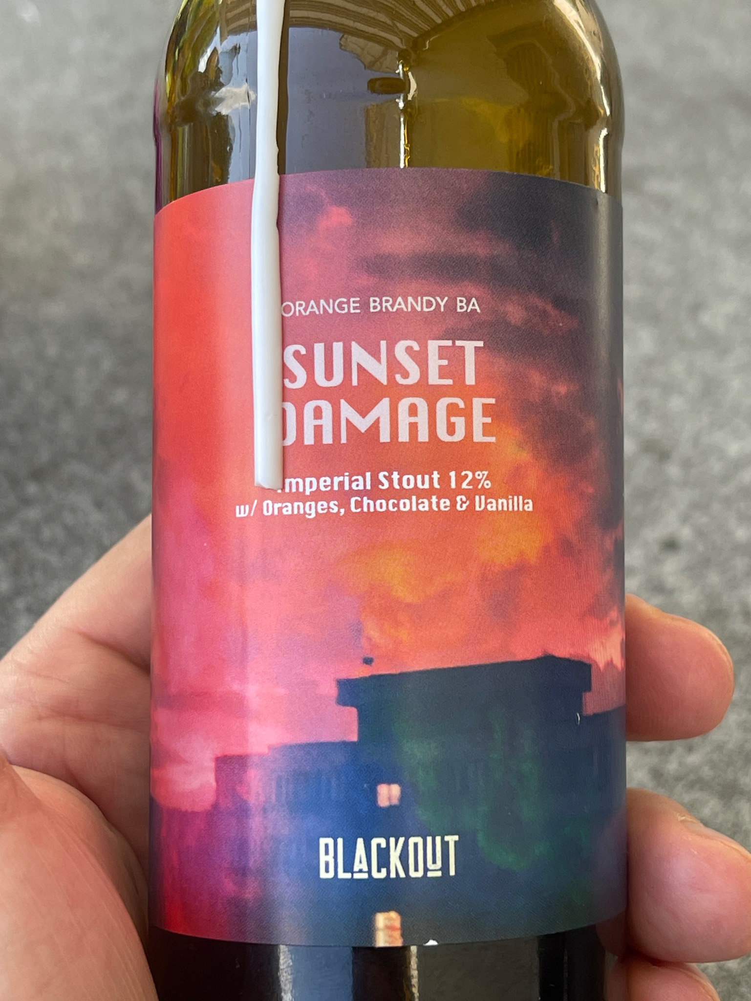 sunset damage wild turkey BA, Romania