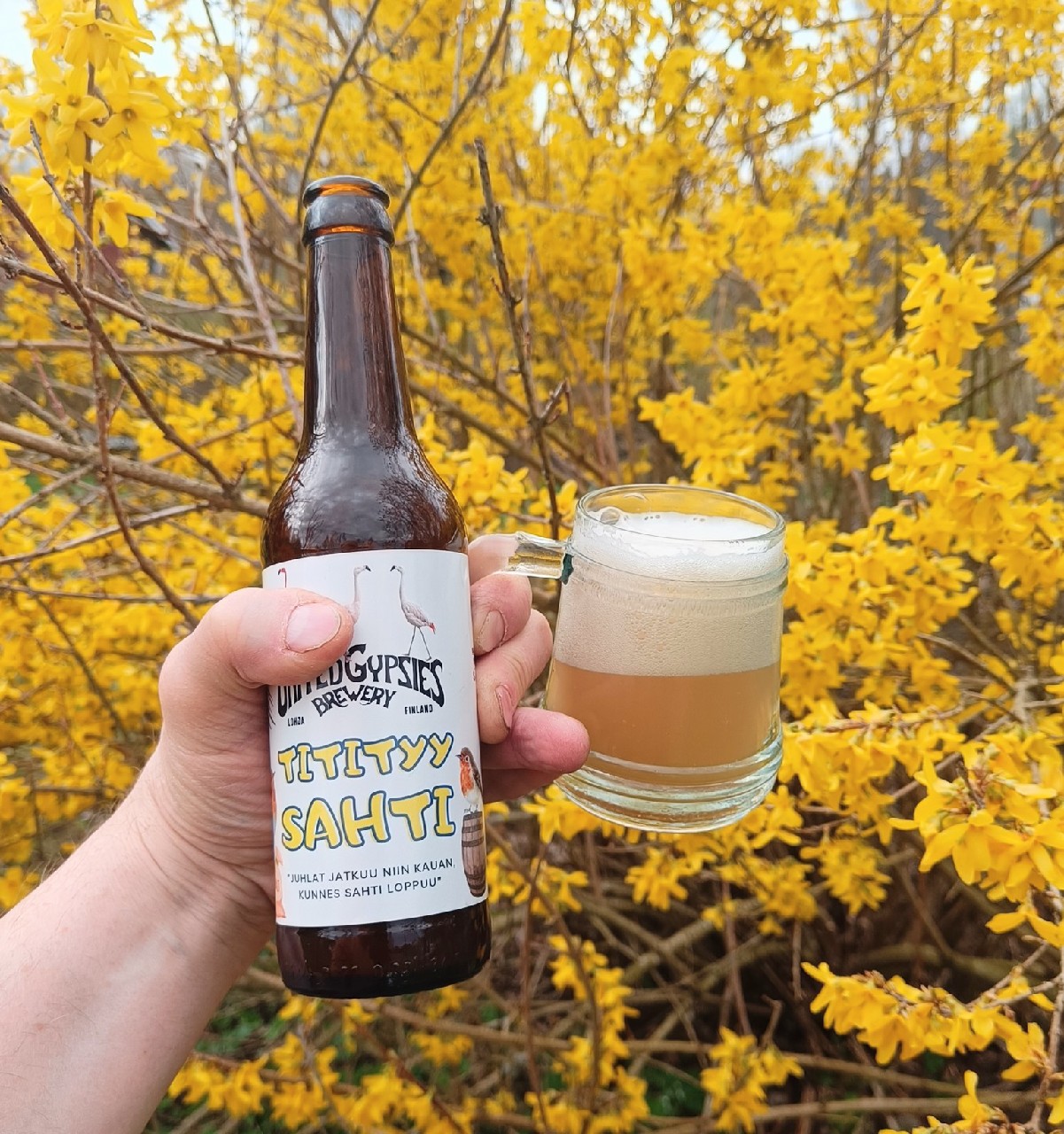 Titityy Sahti, Finland