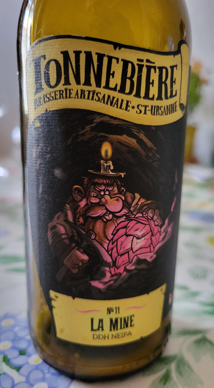 La Mine, La Republik Des Mousses (Le Micro Kombinat)