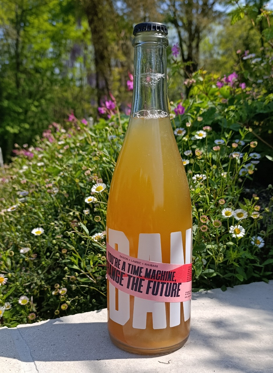 You're A Time Machine, Change The Future (Dansaert), Belgium