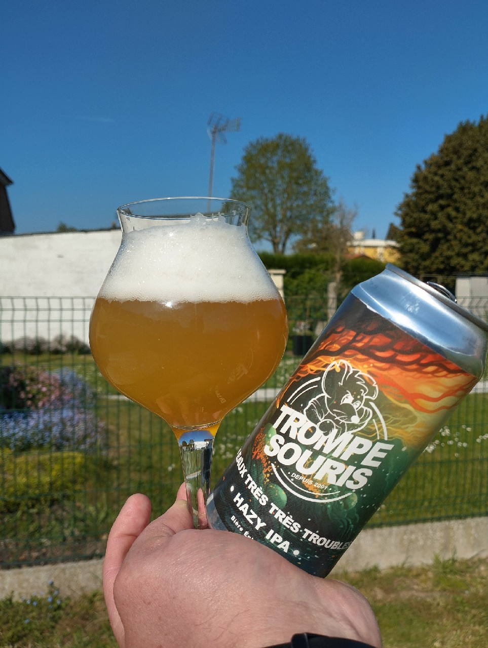 Trompe Souris En Eaux Très Très Troubles, France