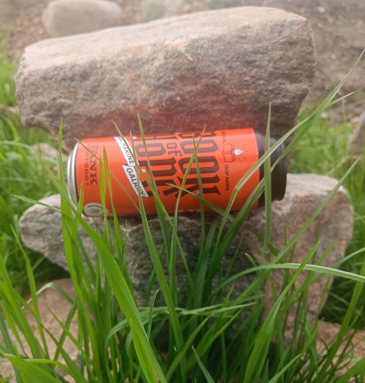 The Book Of Hops Vol. 10, Poland