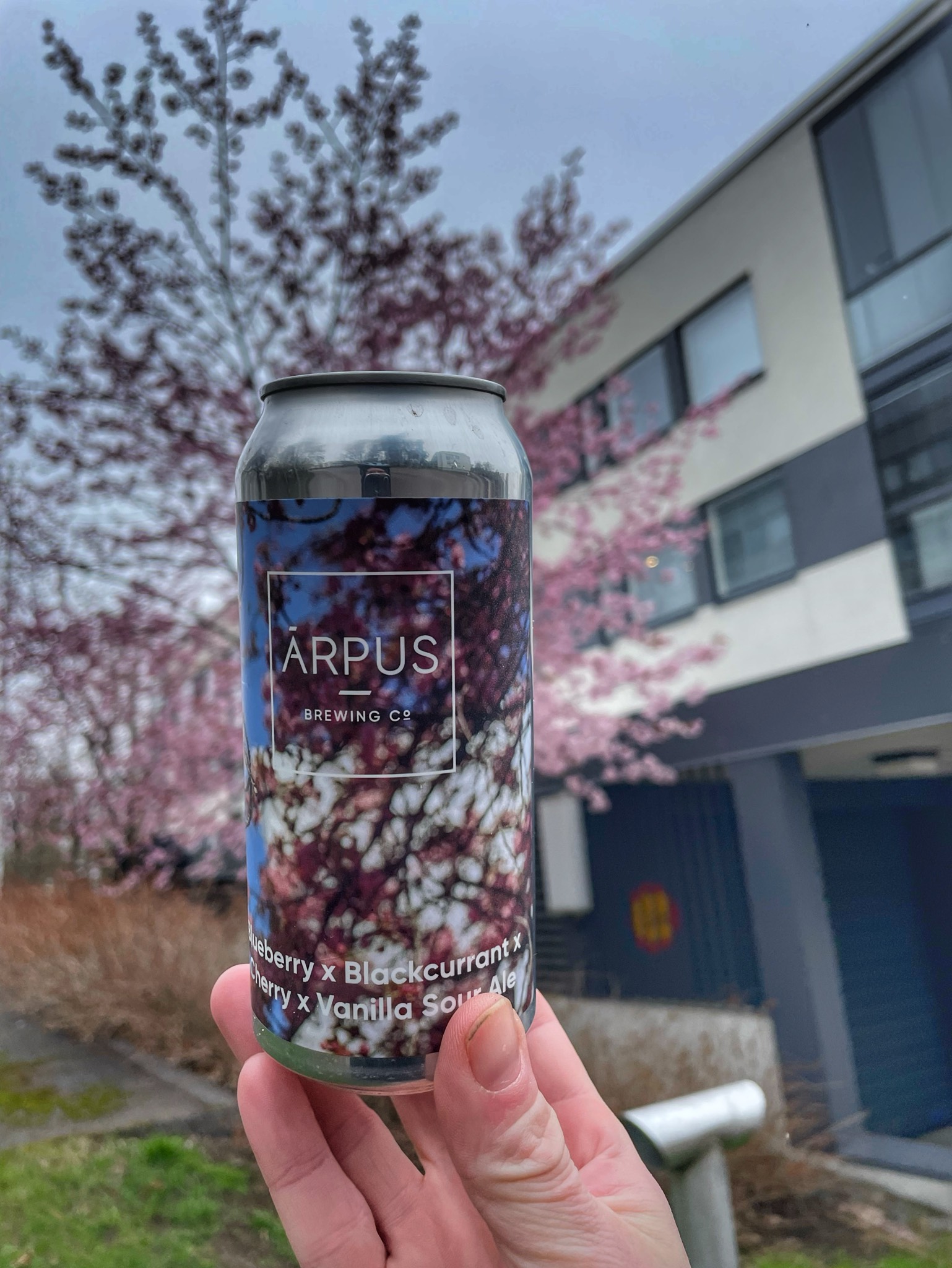 Blueberry x Vanilla Sour Ale, Latvia