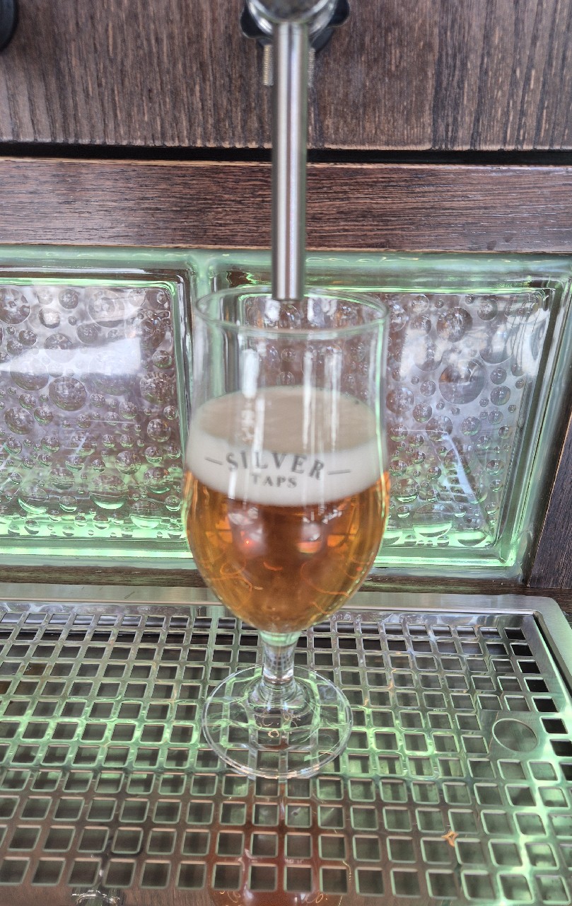 mustang 12, Czech Republic