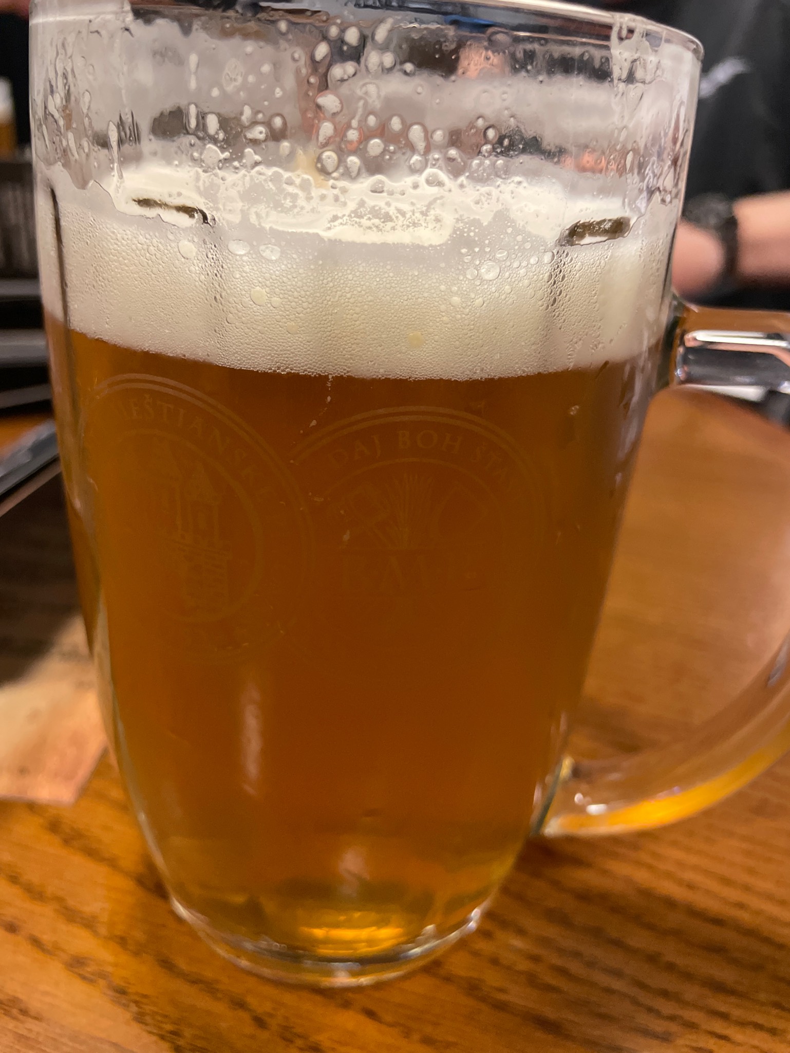 bratislavsky leziak 10, Bratislavský Meštiansky Pivovar