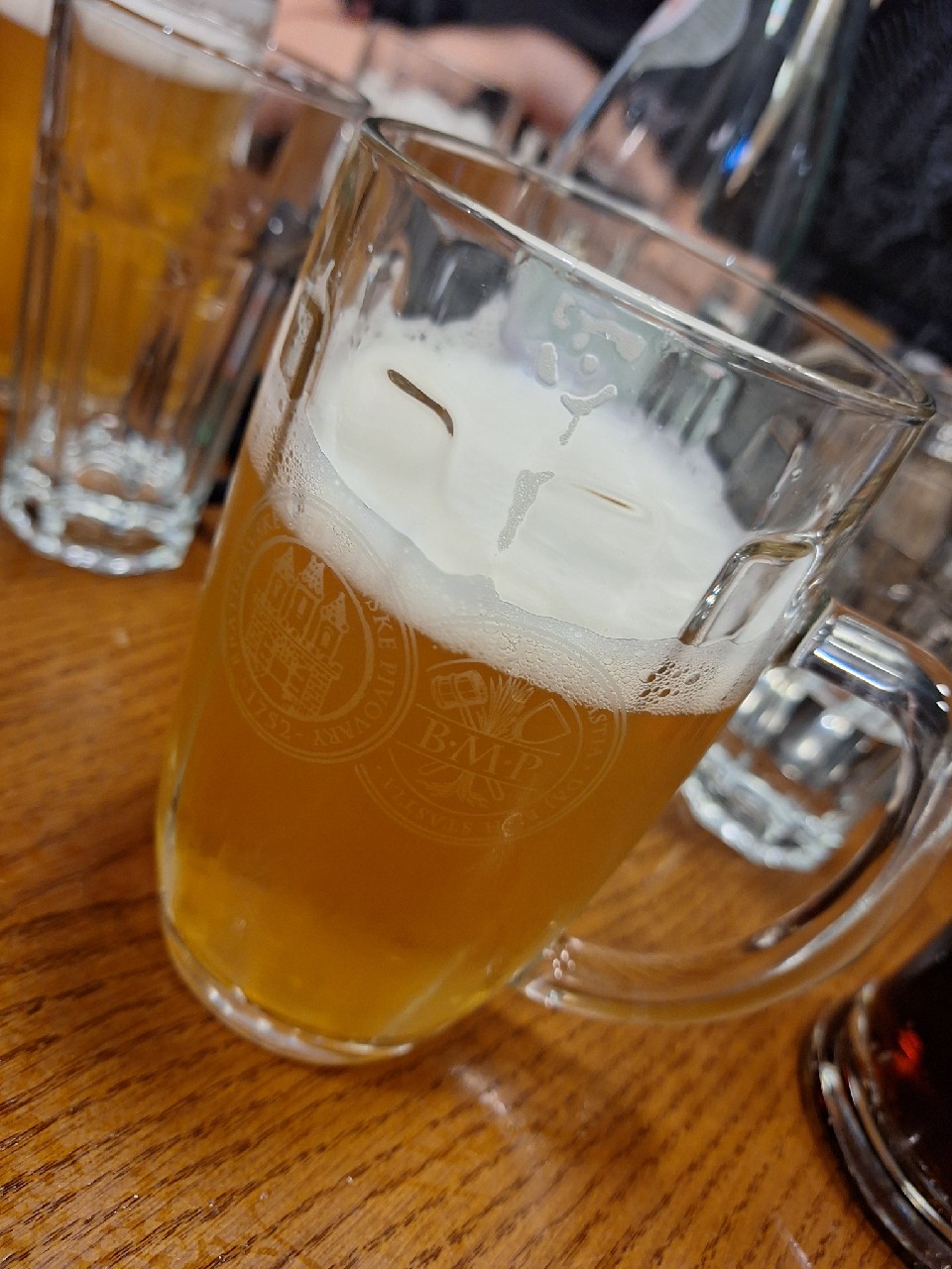 bratislavsky leziak 10, Bratislavský Meštiansky Pivovar