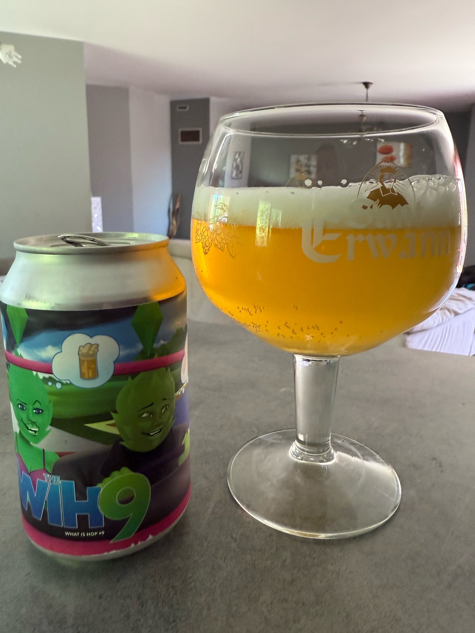 What Is Hop #6, France