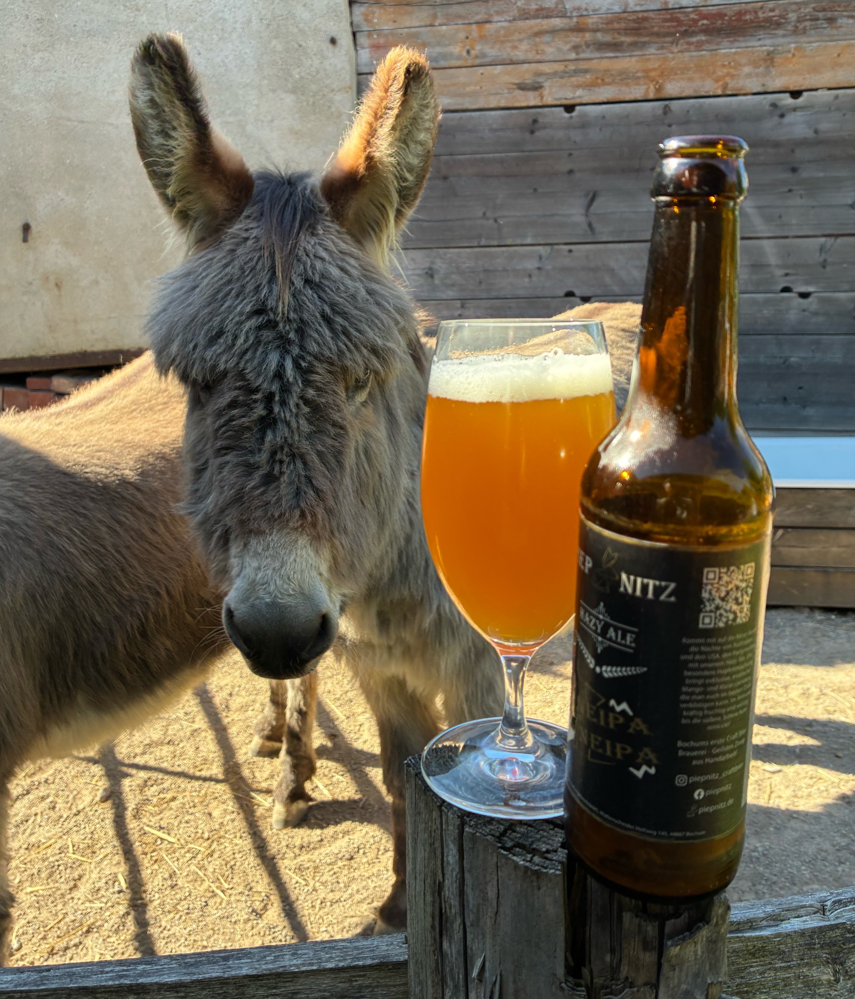 Piepnitz Hazy Ale, PiepNitz Craft-Bier