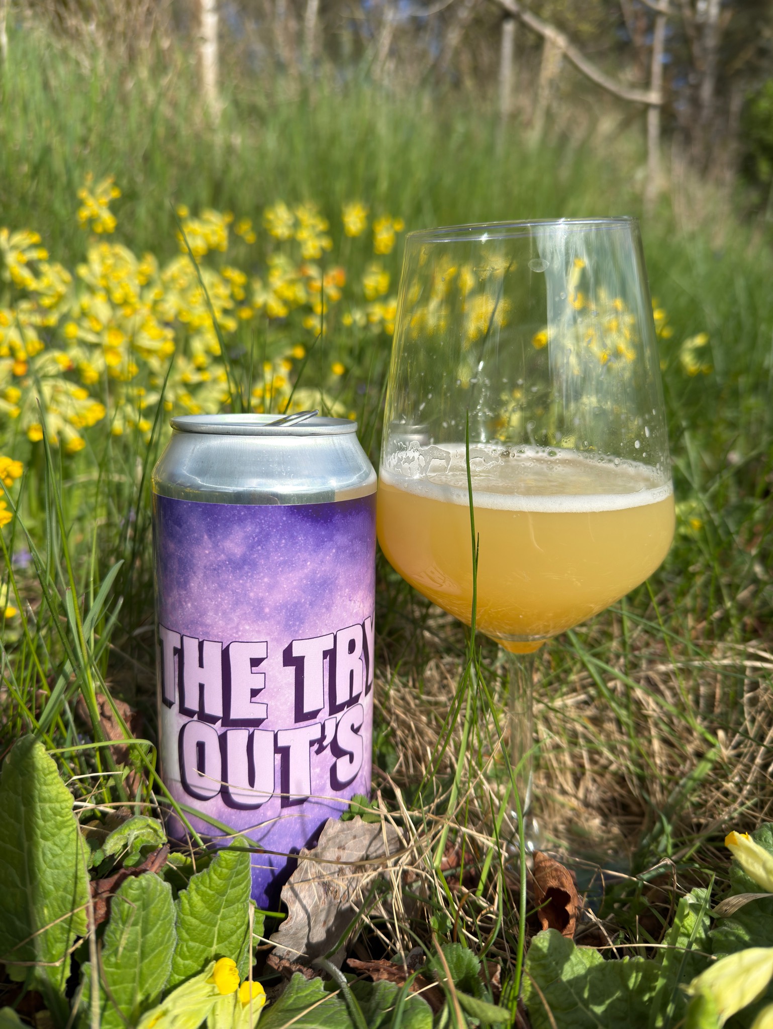 The Try Out's - DIPA Enigma/Kohatu, Sweden