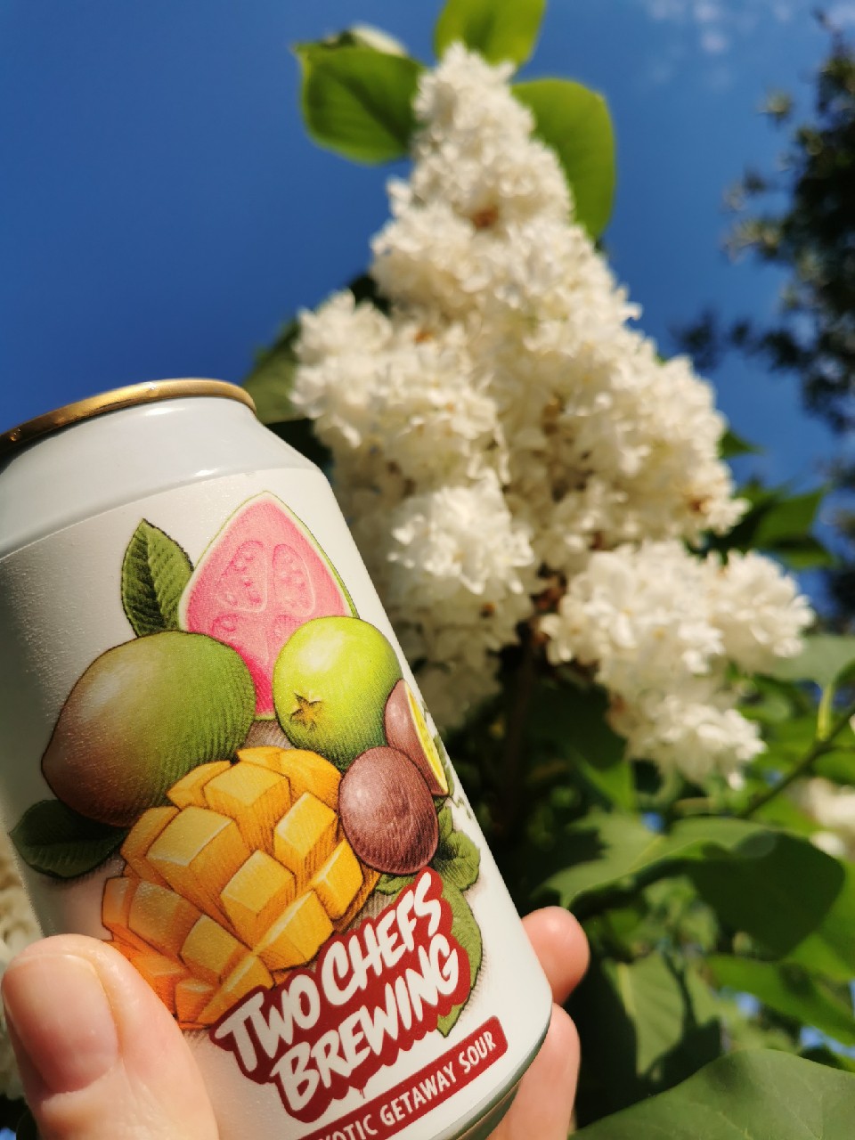 Exotic Getaway Sour, Netherlands