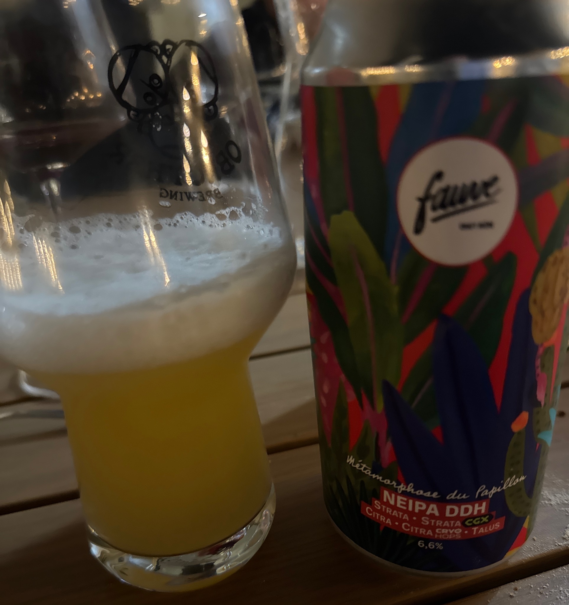 Métamorphose Du Papillon, France