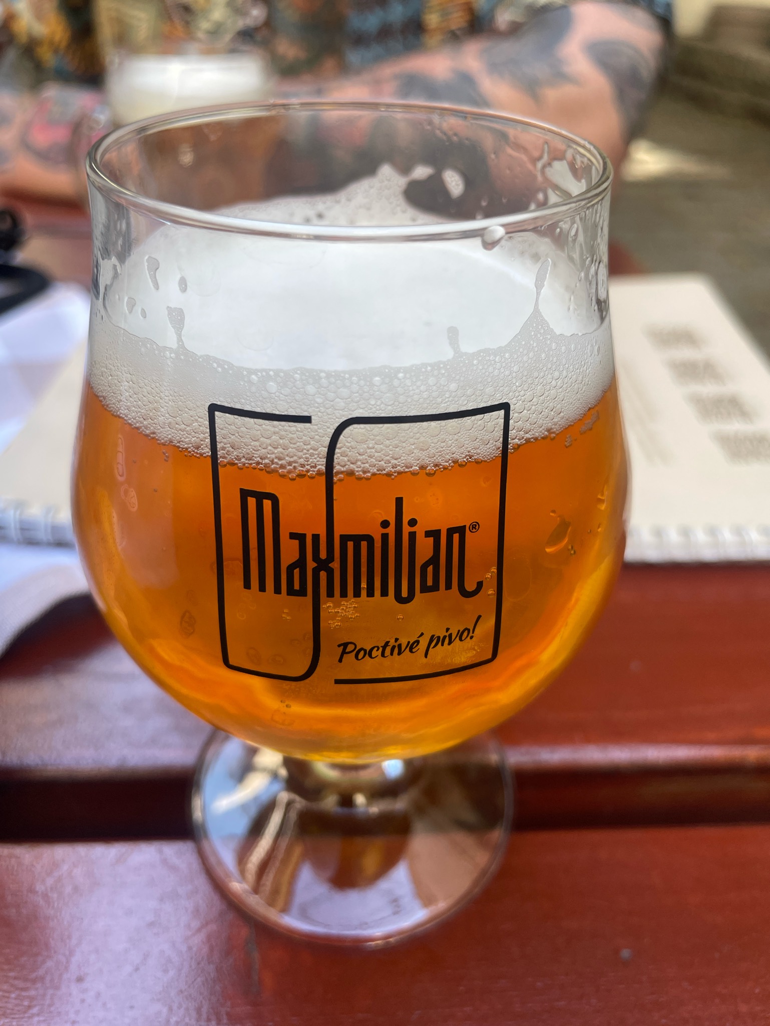 Sladovna IPA Polibek 11, Slovakia