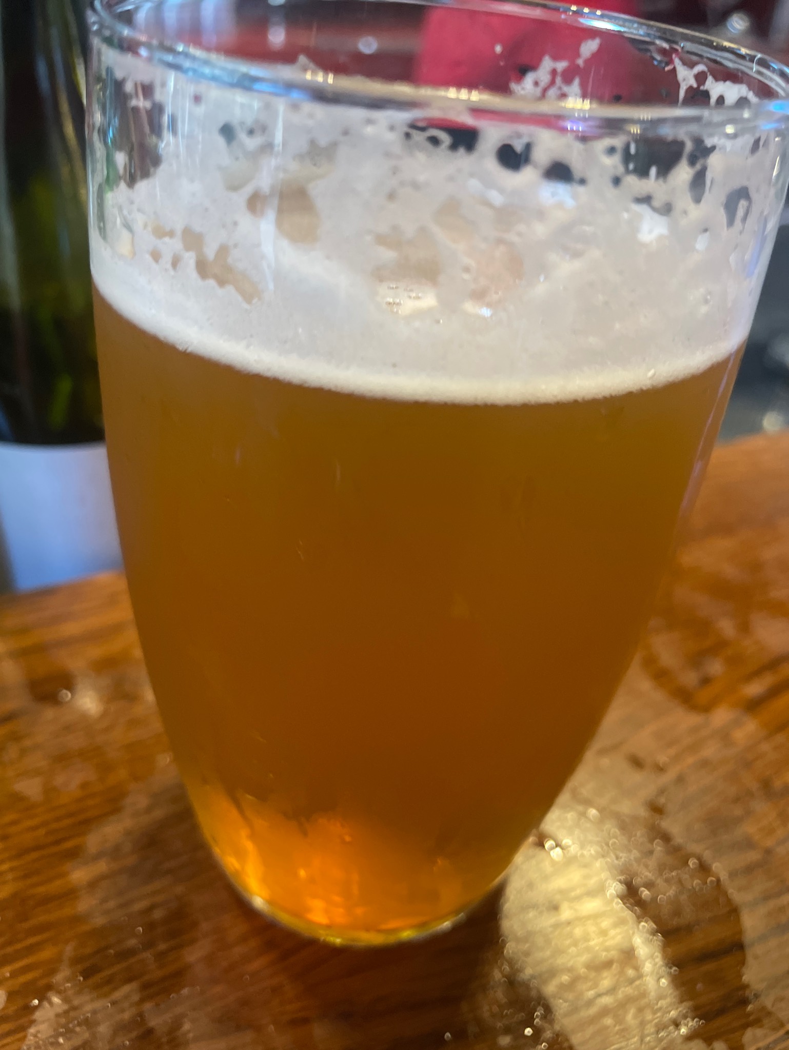 Bohumil 11° Pale Lager, Pivovar Shenk