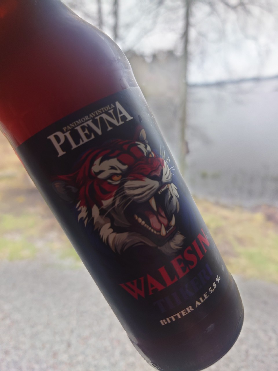 Walesin Tiikeri, Finland