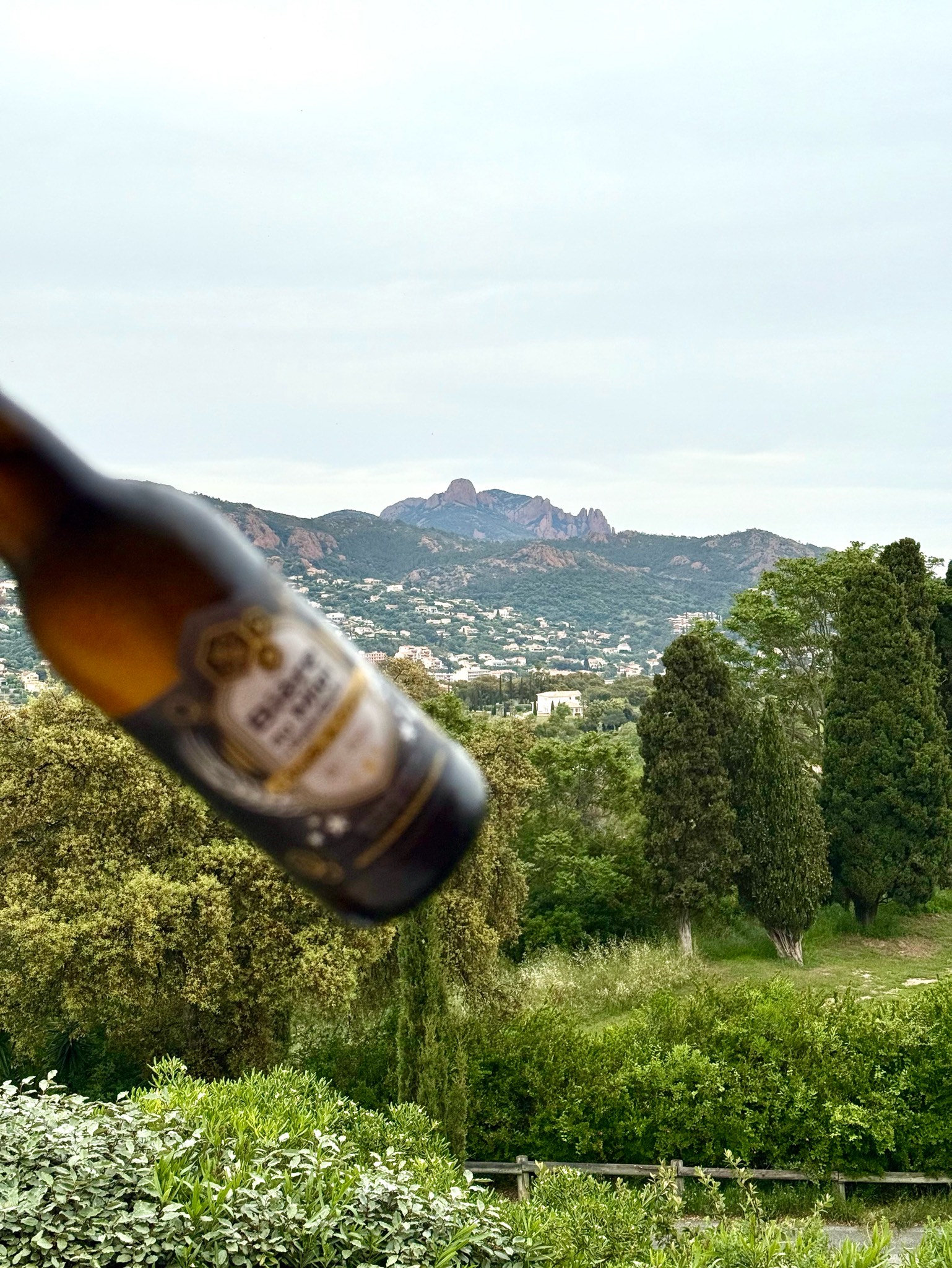 L'Abeille De L'Estèrel Au Miel De Bruyère Blanche, France