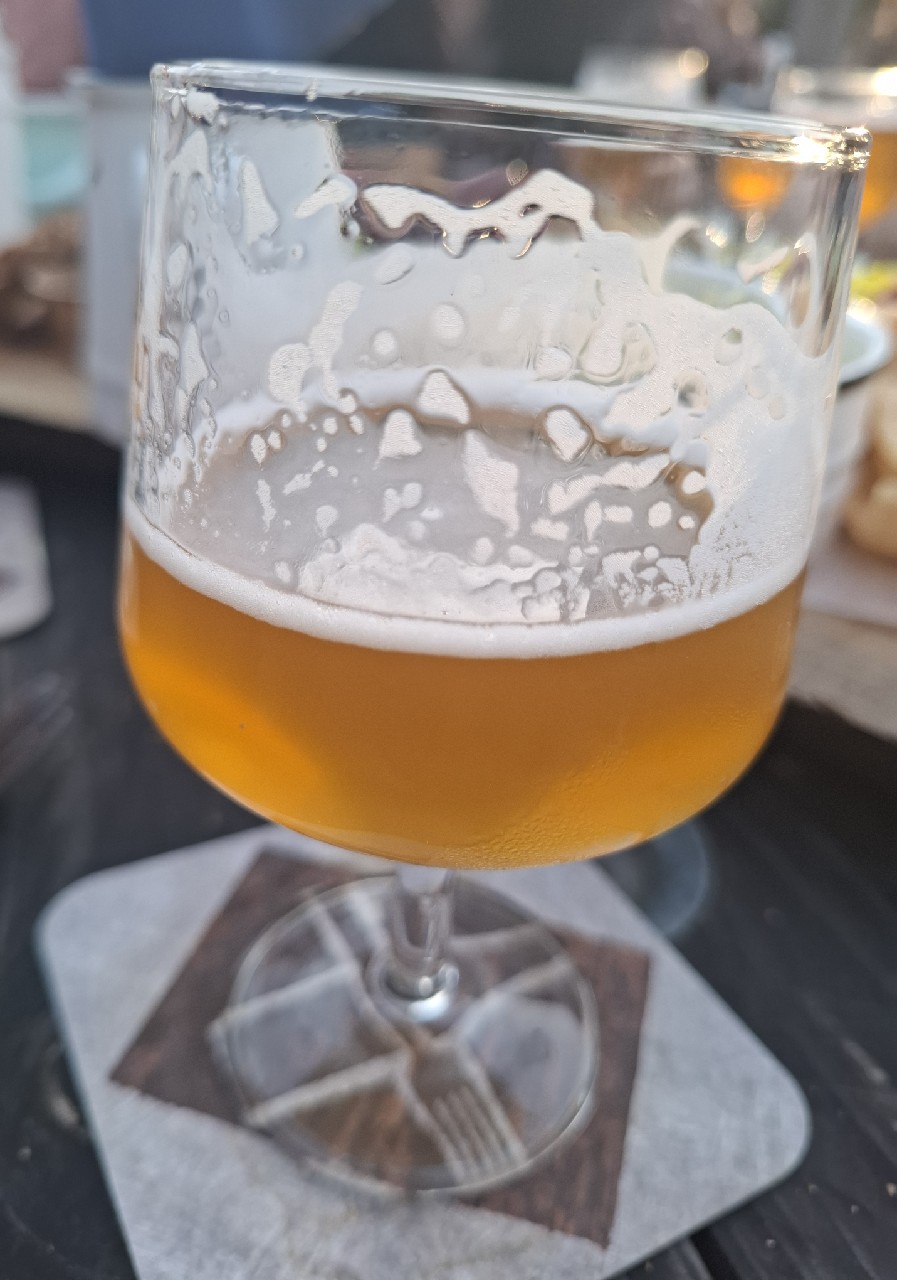 Wertha Tripelll, Netherlands