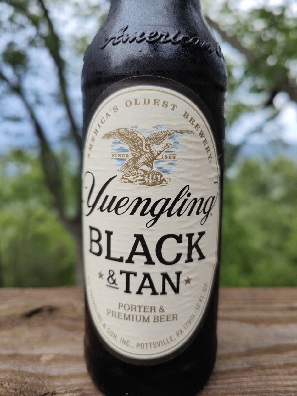 Yuengling Black & Tan, United States