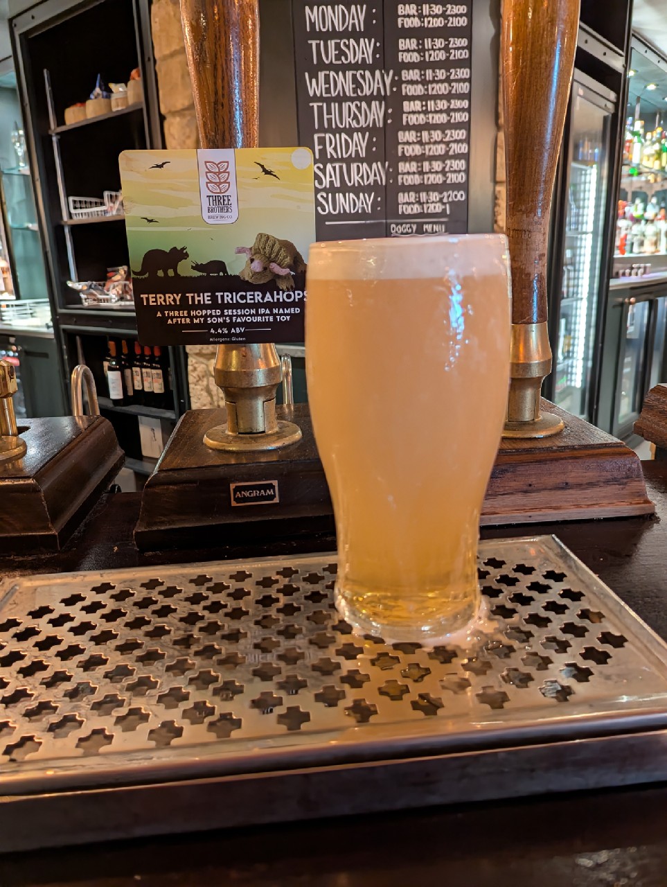 Terry The Tricerahops, England