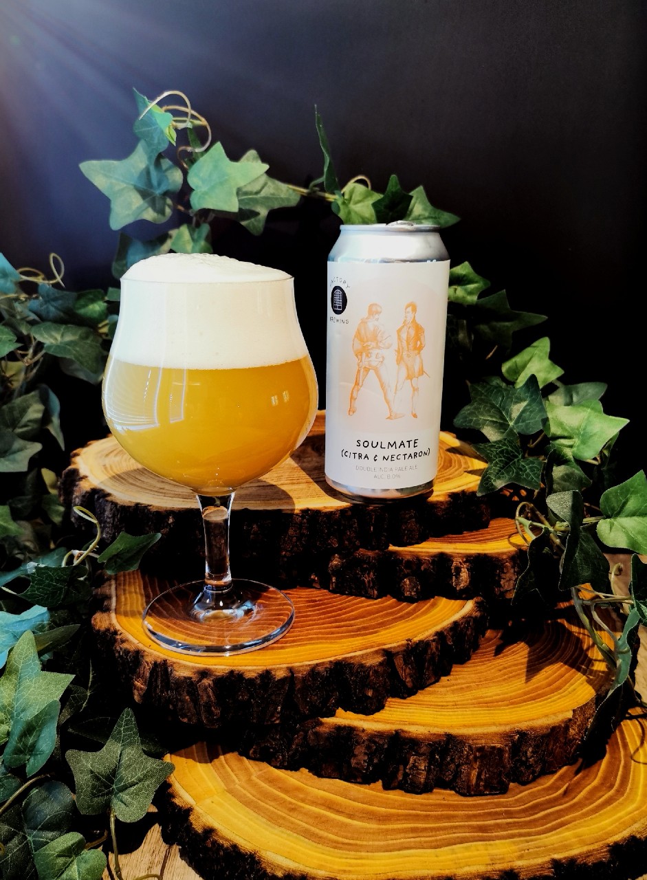 Soulmate (Citra & Nectaron), Finland