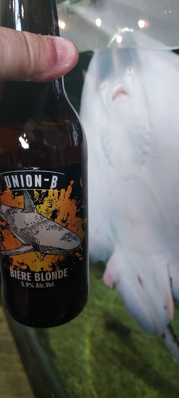 Union-B Blonde, Union-B