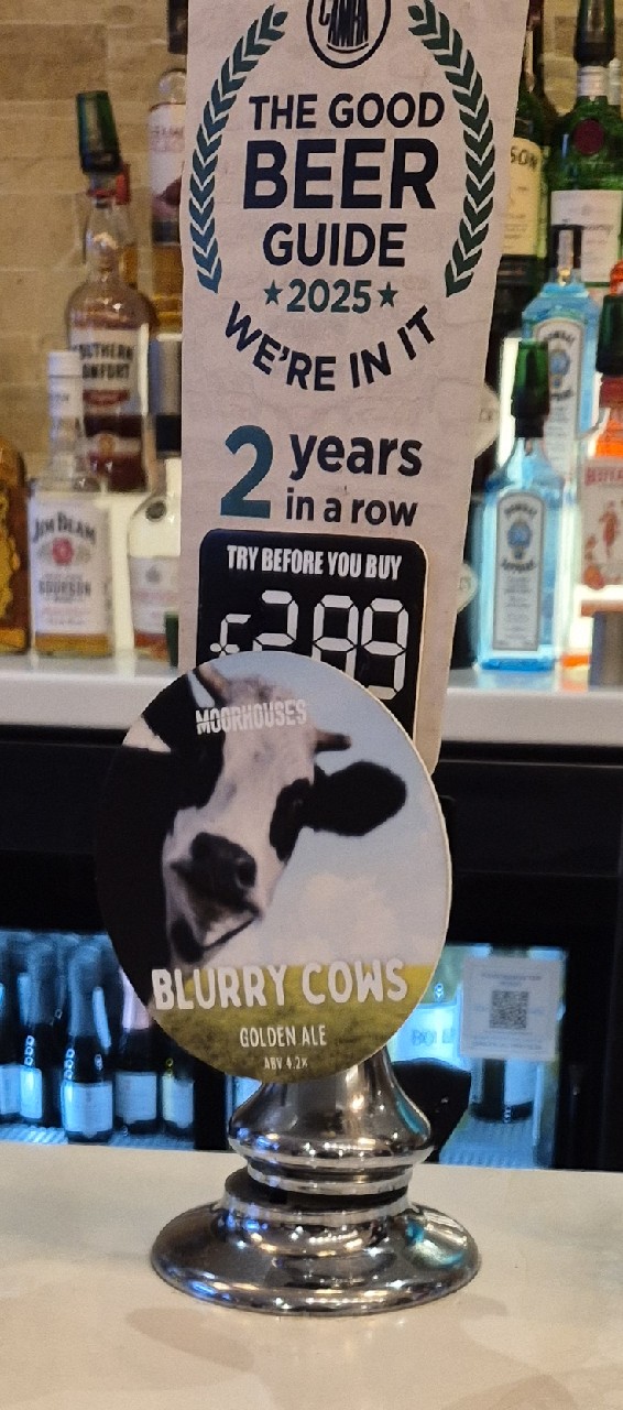 Blurry Cows, England