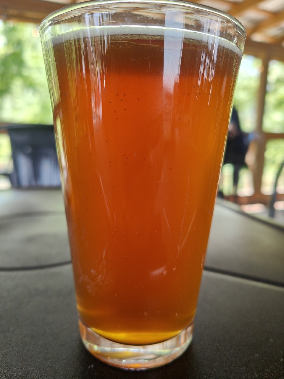 Pint Sized Patriot, Cartecay River Brewing Co