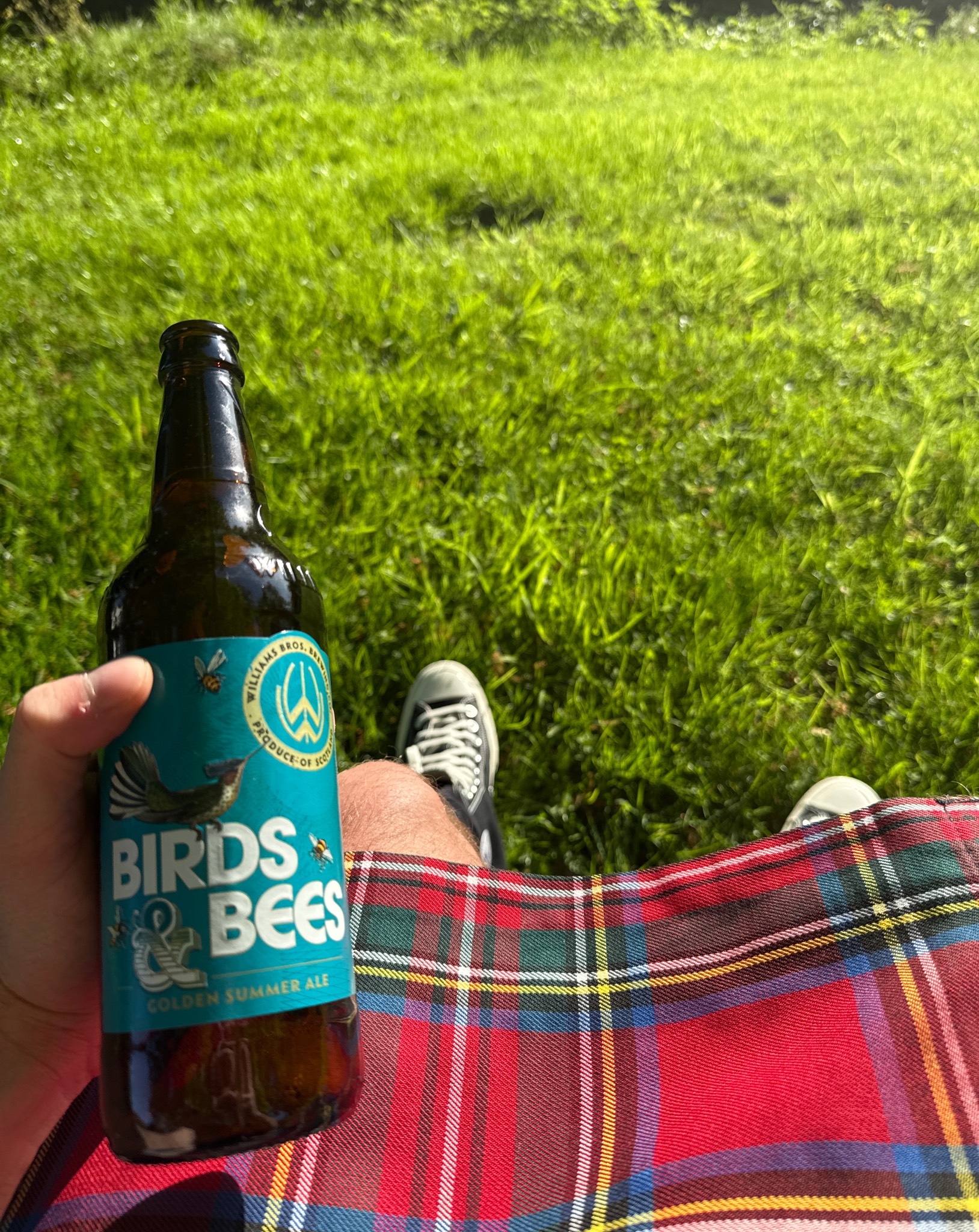 Birds & Bees, Scotland