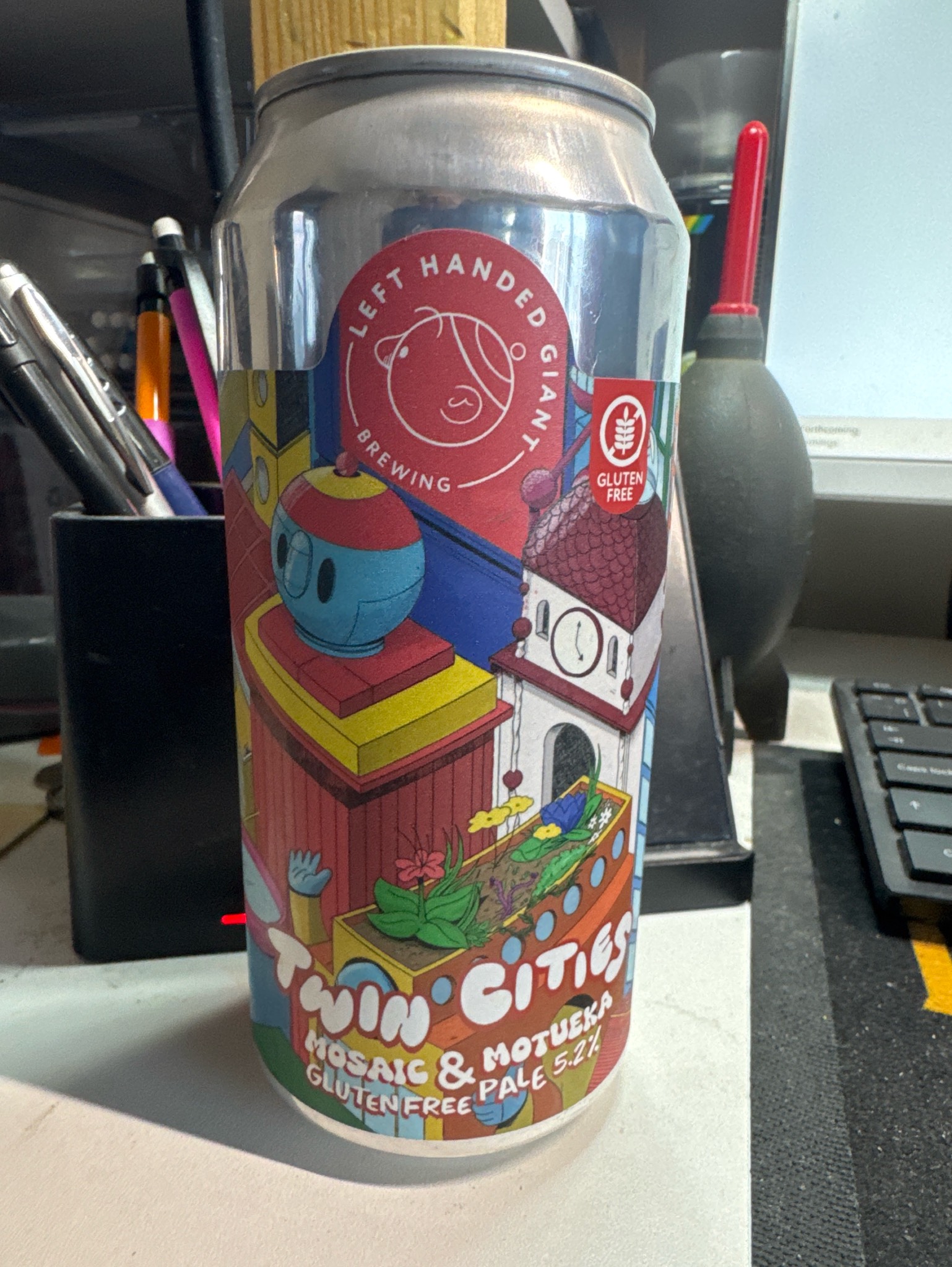 Twin Cities: Mosaic & Motueka, England