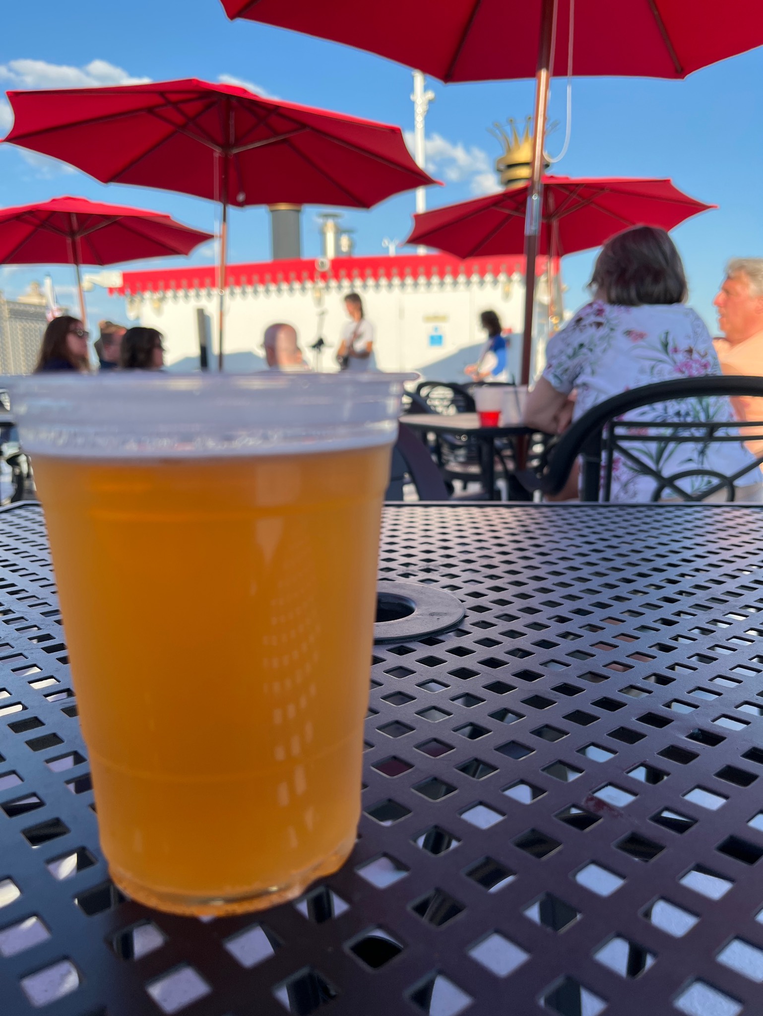 Savannah River IPA, Savannah River Brewing Co.