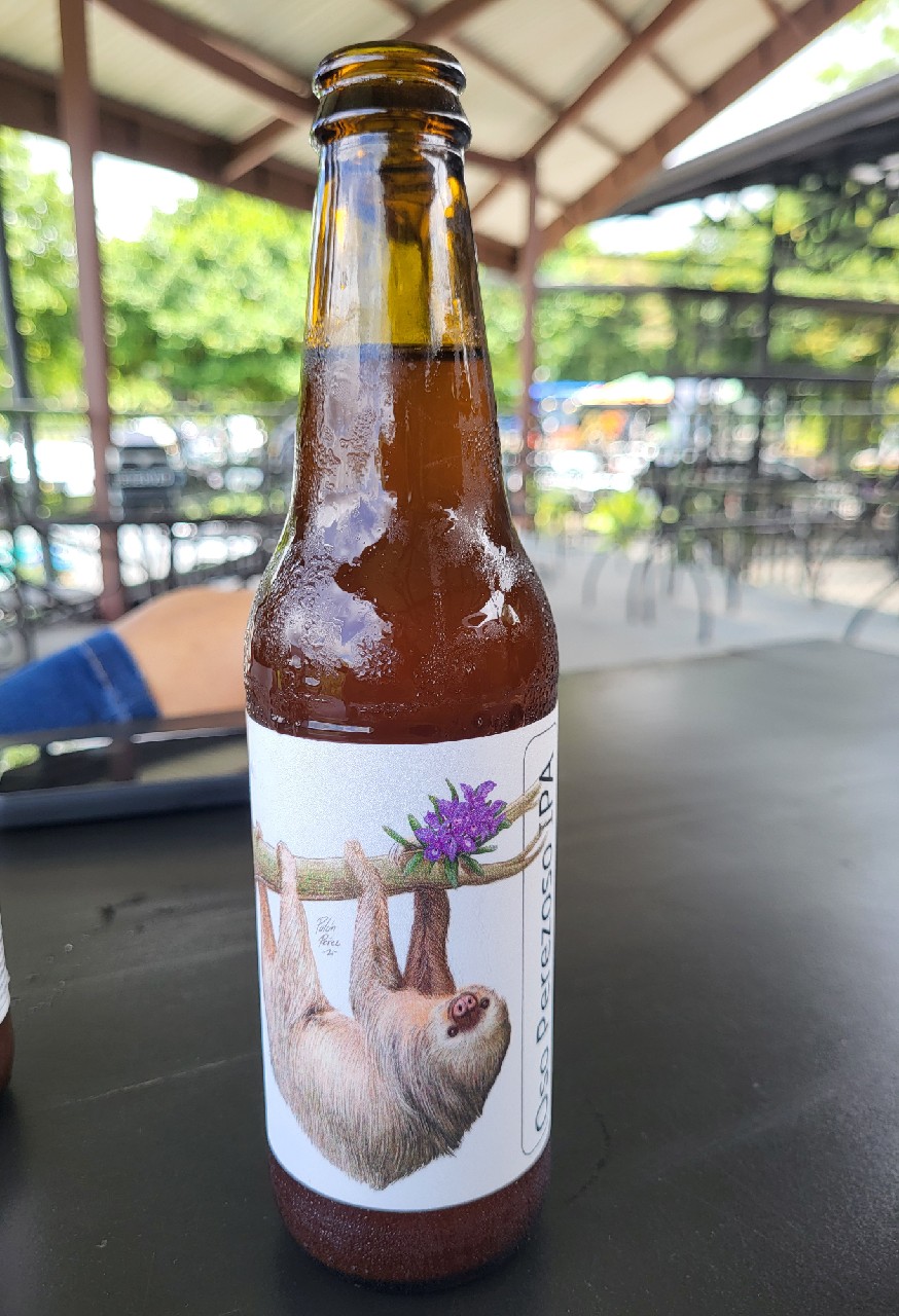 suizy tico oso perezoso IPA, Suizy Tico