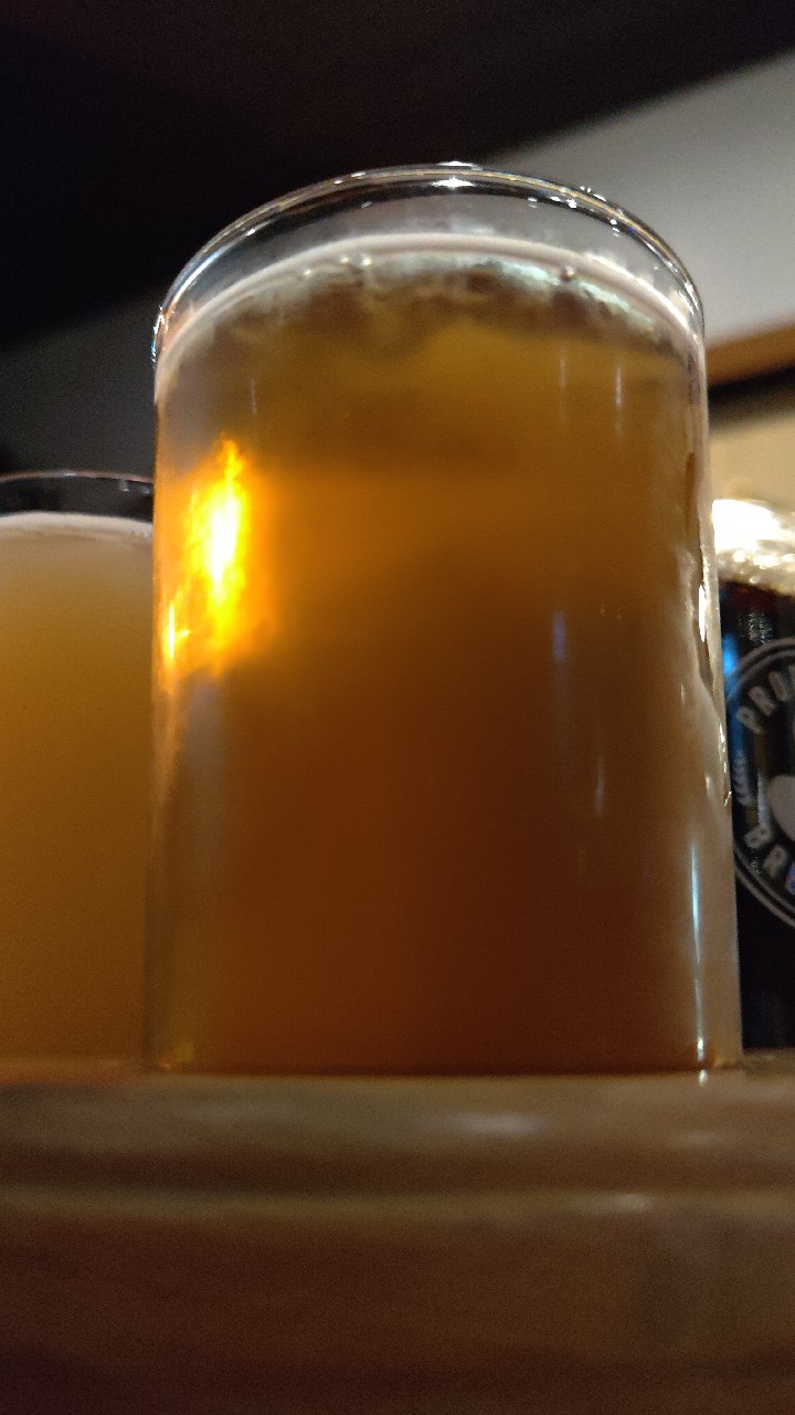 Propeller DIPA, Propeller Brewing Co.