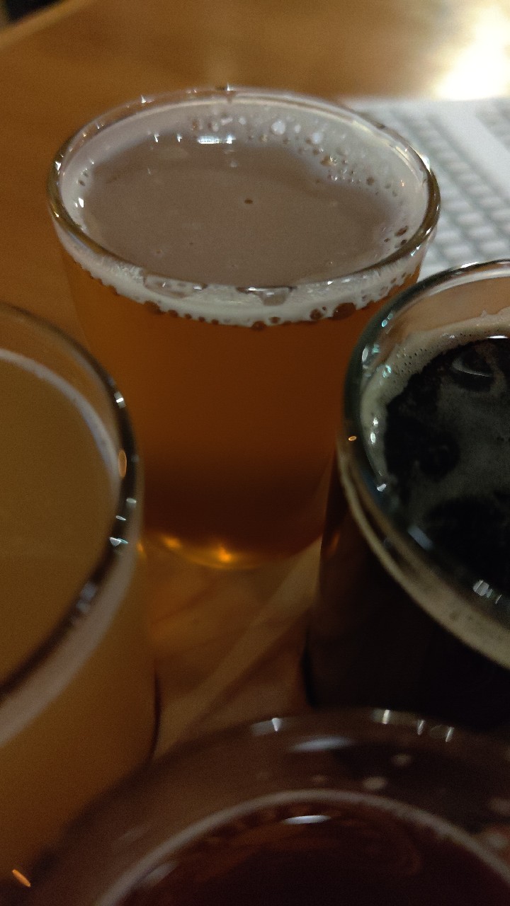 Propeller IPA, Propeller Brewing Co.