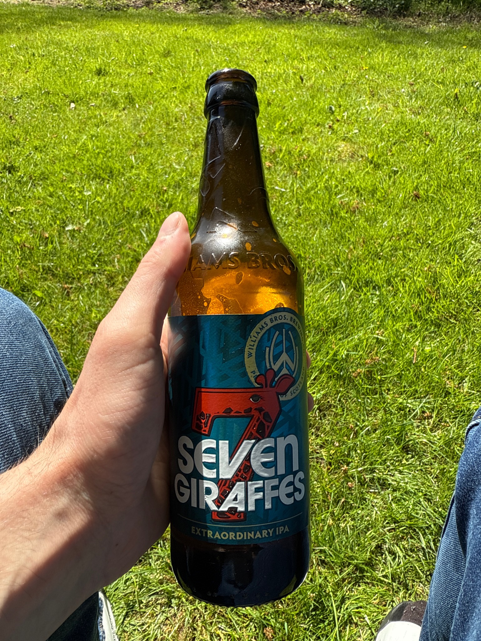 Seven Giraffes, Scotland