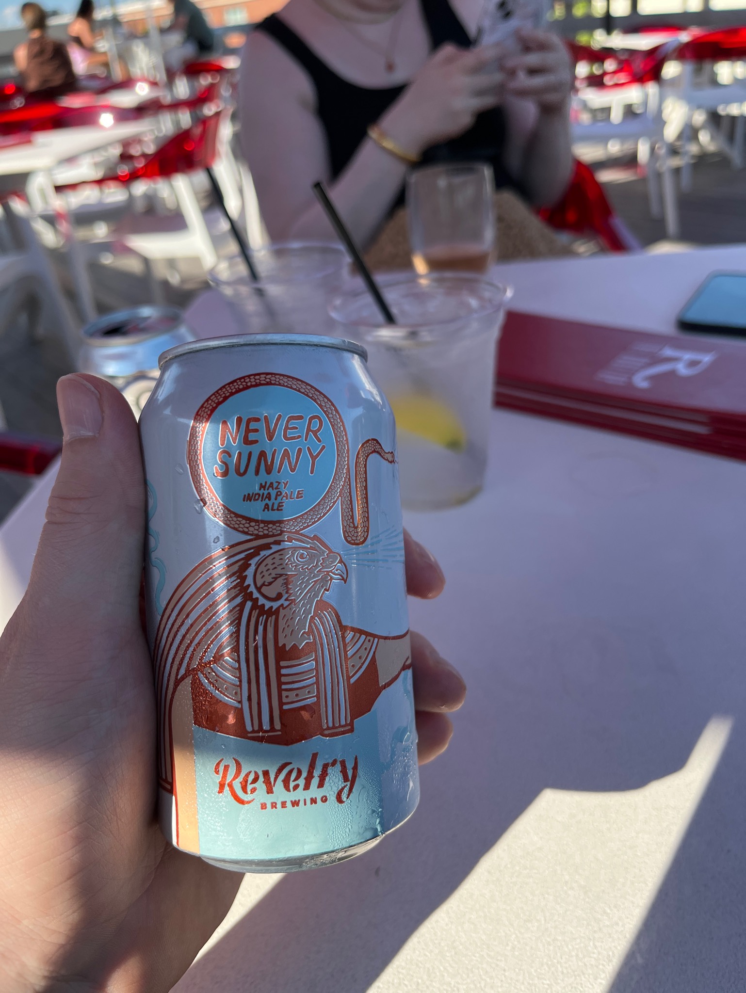 Never Sunny, Revelry Brewing Company