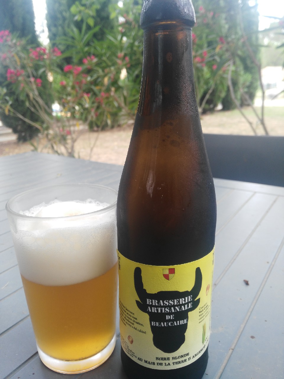 Beaucaire Blonde Au Maïs, France