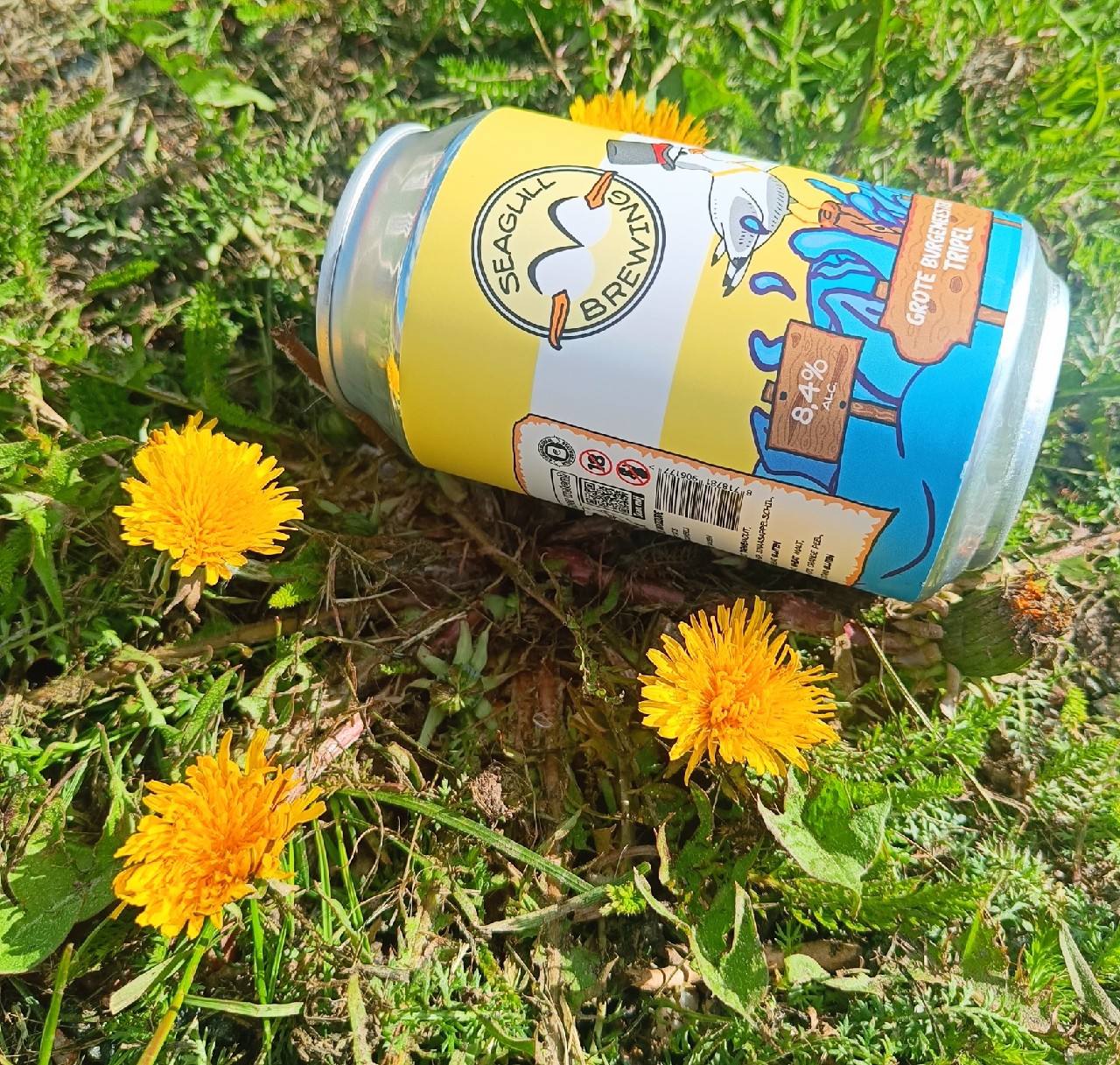 Grote Burgemeester, Seagull Brewing
